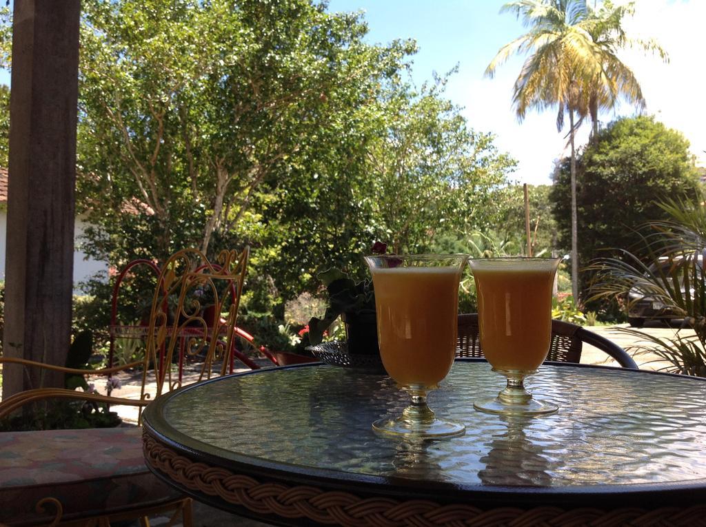Braunes Guest House Nova Friburgo Esterno foto
